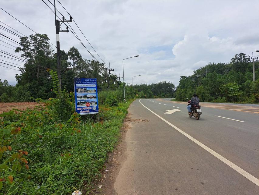 ที่ดิน 1