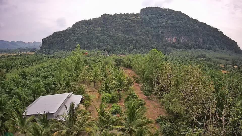 บ้านพร้อมที่ดินโฉนดติดวิวเขาใกล้ทะเล 7