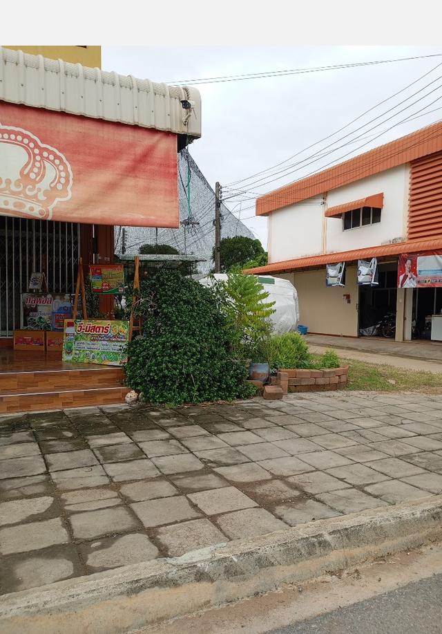 ที่ดินเหมาะสร้างตึกอาคารทำธุรกิจ ใกล้ธ.ออมสิน ศรีสัชนาลัย 5