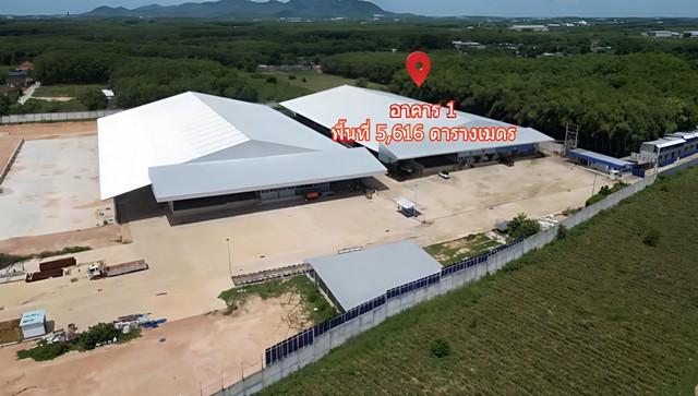 ขายที่ดินพร้อมสิ่งปลูกสร้างพื้นที่โฉนดทั้งหมด 4 แปลงรวมพื้นที่ 40 ไร่ 35 ตารางวา Free zoneมีใบรง.4ใบอนุญาต105 3