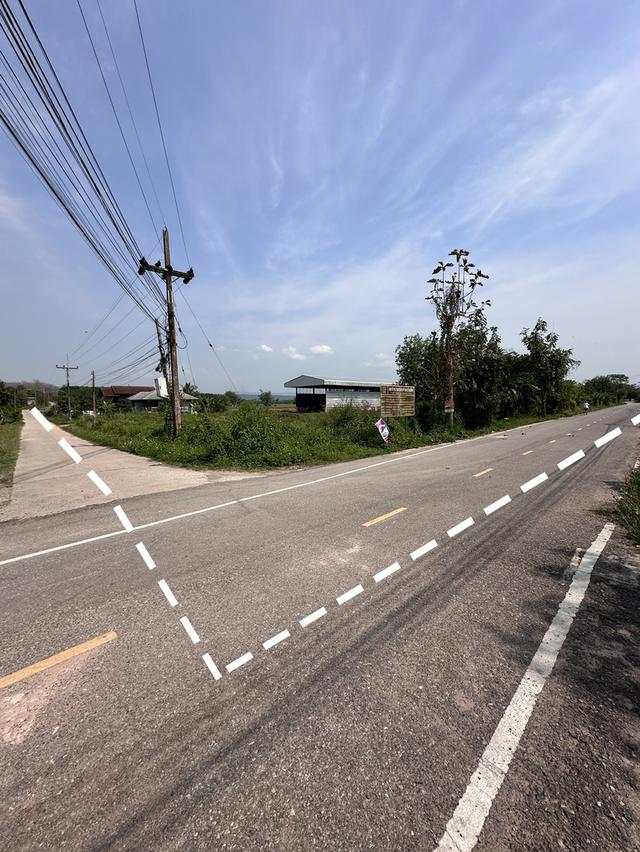 ขายที่ดินเปล่าพร้อมโกดังและบ้าน บ้านจำปู ต.เจริญเมือง อ.พาน จ.เชียงราย 57120 12