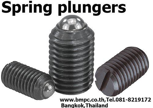 steel ball plunger, stainless steel ball plunger, slot spring plunger