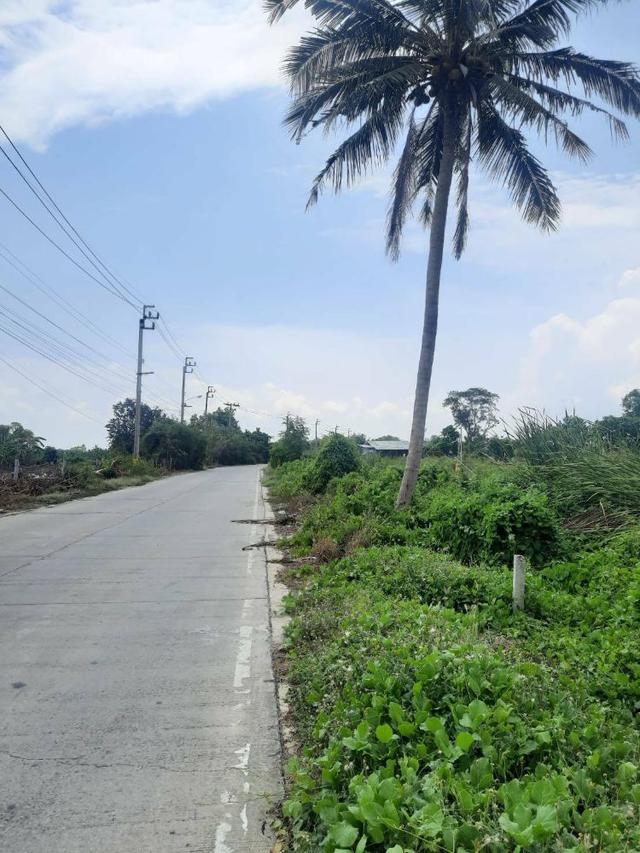ขายที่ดินสวยพร้อมโฉนด 1ไร่ 3งาน 98ตร.ว. ติดถนนหลัก ใกล้ห้างเซ็นทรัลวิลเลจ บางเสาธง สมุทรปราการ