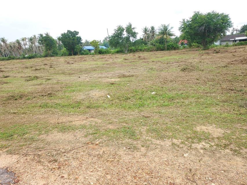 ที่ดิน 9 ไร่ 3 งาน พื้นที่ คั่นกระได ต.อ่าวน้อย อ.เมือง จ.ประจวบ