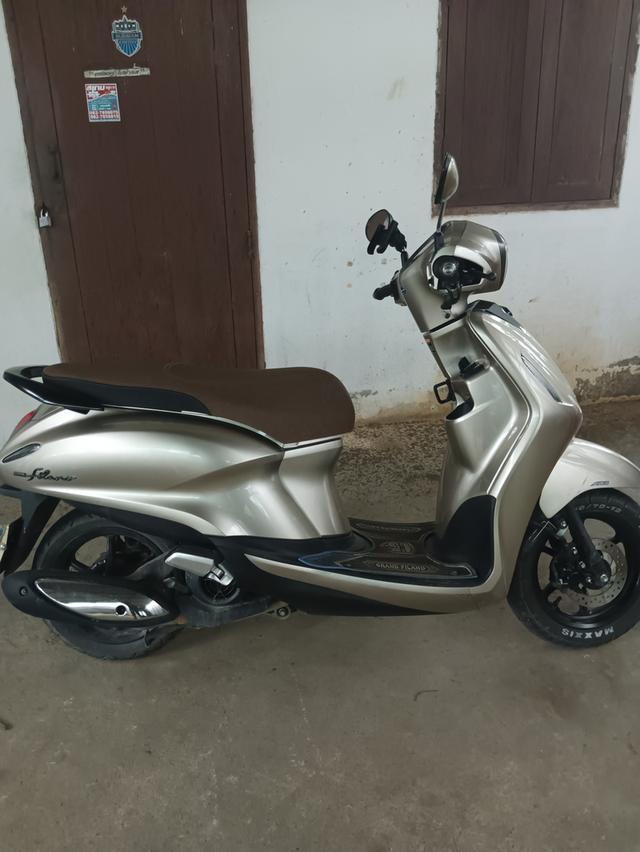 garam filano hybrid 2023