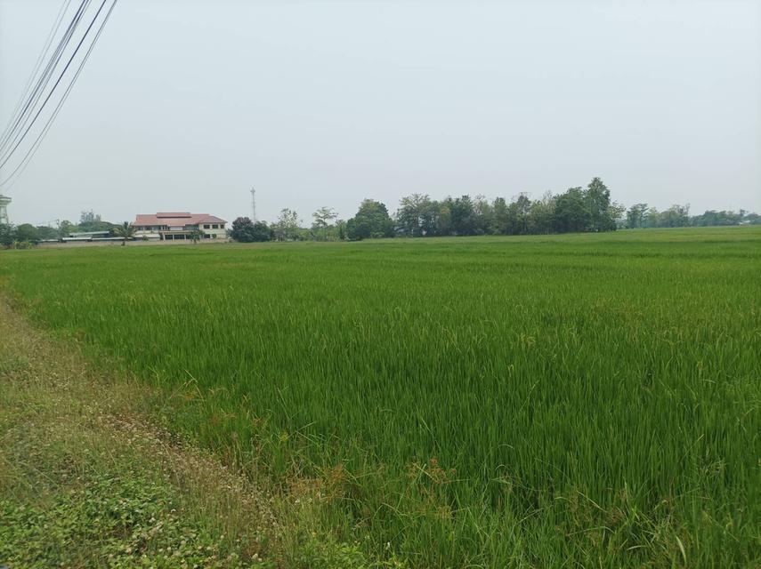 ขายที่ดิน ราคา8,000บาท/ตร.ว. ต.สง่าบ้าน อ.ดอยสะเก็ด จ.เชียงใหม่ 15