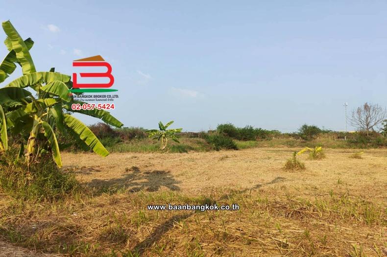 ที่ดินเปล่า เนื้อที่ 112 ตร.ว. หมู่บ้านเดอะลากูล 1-2 ถนนปทุมธานี-สามโคก-เสนา ตำบลท้ายเกาะ อำเภอสามโคก ปทุมธานี 7