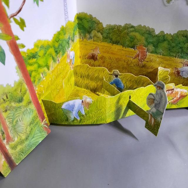 สมุดภาพบ้านพ่อ วังสวนจิตรลดา : หนังสือสามมิติ POP UP รูปที่ 7