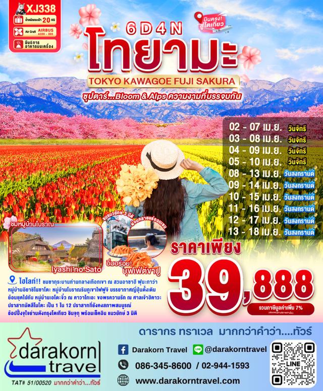 ทัวร์ญี่ปุ่น Bloom & Alps ความงามที่บรรจบกัน 6วัน 4คืน