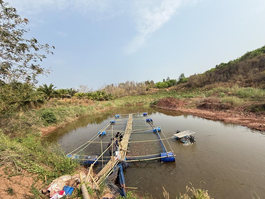 ขายที่ดิน พร้อมที่พักอาศัย 1
