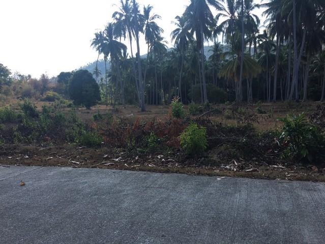 ต้องการขาย ที่ดิน ที่ดิน หาดหน้าทอน เกาะสมุย 33268500 B. ใกล้กับ ห่างหาดหน้าทอน 1.5 กม. และห่างท่าเรือซีทรานเฟอร์รี่ ประ 4