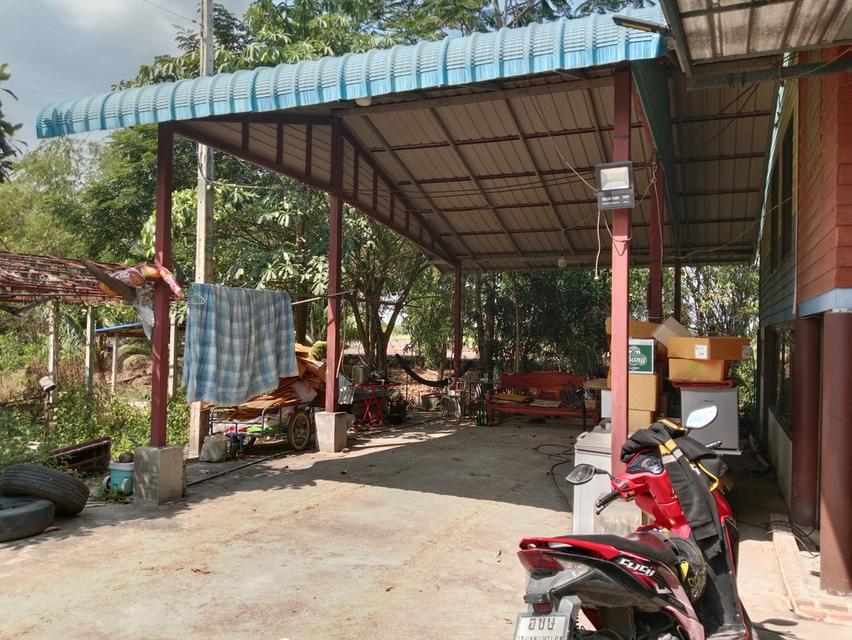 ขายบ้านสวน2ไร่ คลองหก คลองหลวง ปทุมธานี เส้นเดียวกับ ม.ราชมงคลคลองหก 8