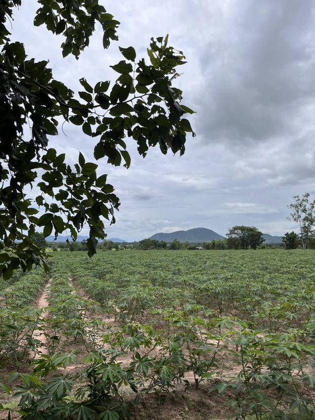 Land for sale good location  4