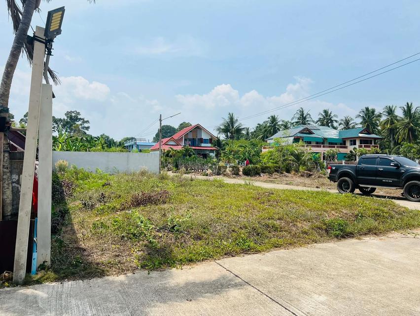 ที่ดินชายทะเล หาดสะพลี จ.ชุมพร ราคาถูก 7
