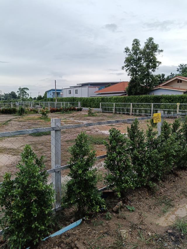 ที่ดินจัดสรรแบ่งขาย นนทบุรี 5