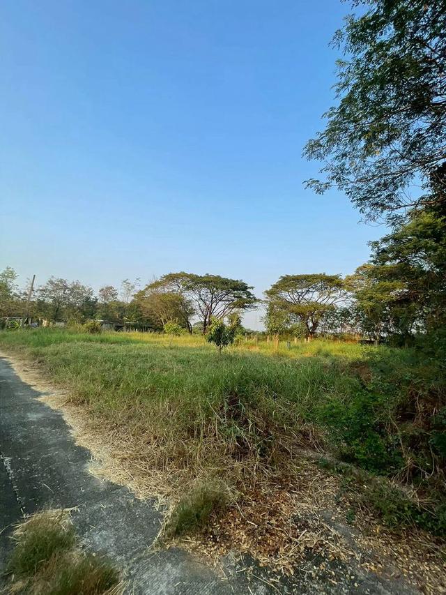 📍🏌️ ทำเลพิเศษ อยู่ในหมู่บ้านมีสนามกอล์ฟ ใกล้รถไฟฟ้าสายสีชมพู 🏌️📍 ที่ดินเปล่า เนื้อที่ 368 ตร.ว. หมู่บ้านกฤษดานคร 25 3