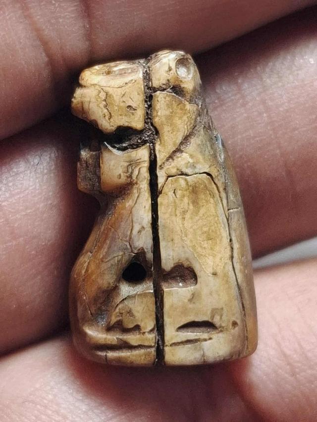 เสือ หลวงพ่อแตง วัดอ่างศิลา