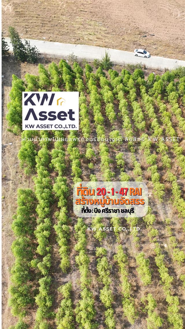 ขายที่ดิน 20-1-47 ไร่  #ใกล้มอเตอร์เวย์สาย7กรุงเทพชลบุรี  เพียง 600 เมตร  #ทำเลเกรดA 📍ที่ตั้ง บึง ศรีราชา ชลบุรี #KWASSET 6