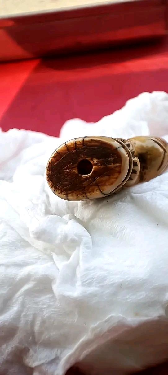 เสือหลวงพ่อปาน หลวงพ่อปาน เขี้ยวเสือ เขี้ยวเสือแกะ เขี้ยวเสือหลวงพ่อปาน วัดบางเหี้ย วัดคลองด่าน รูปที่ 5