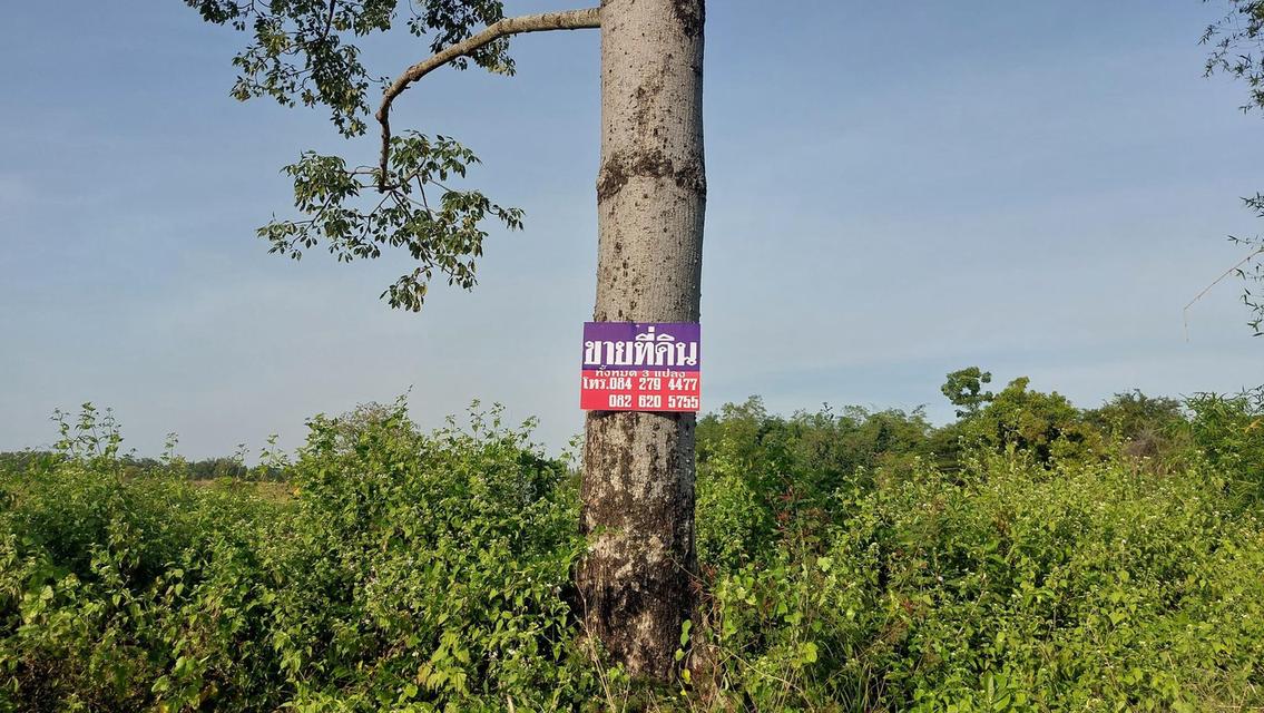 ขายที่ดินเปล่า ที่ตั้ง : จากปากทางเข้าวัดป่าพุทธญาณรังษี(ถนนเลี่ยงเมืองขอนแก่น) เข้าไปประมาณ 500 ม. ตำบลพระลับ อำเภอเมืองขอนแก่น จังหวัดขอนแก่น รูปที่ 12