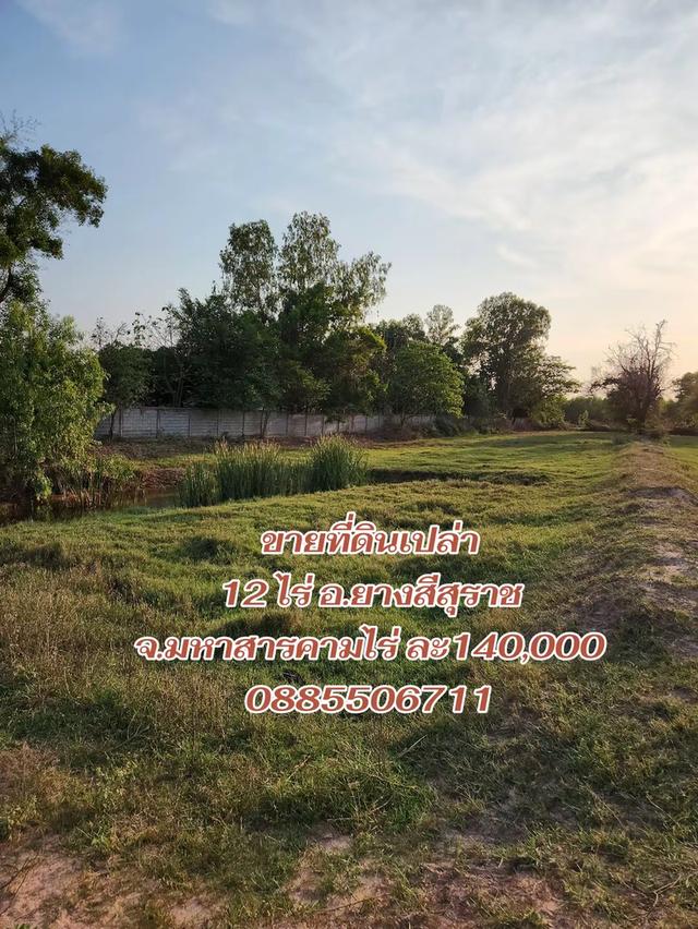 ที่ดินเปล่า 12 ไร่ อำเภอยางสีสุราช จังหวัดมหาสารคาม 1