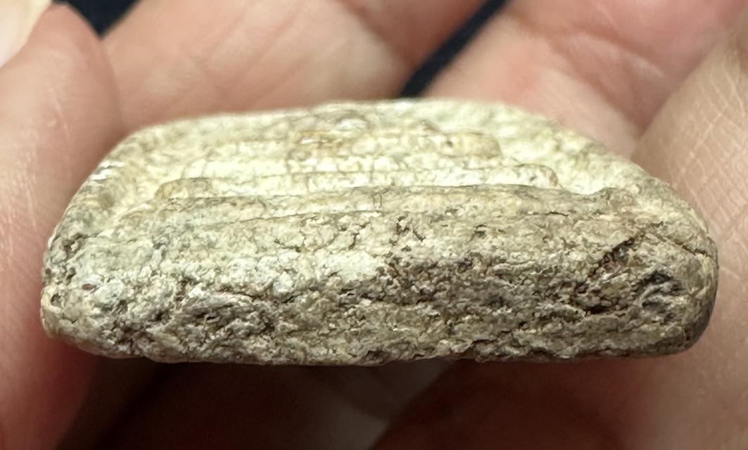 พระสมเด็จ พิมพ์ใหญ่ เนื้อดี 7