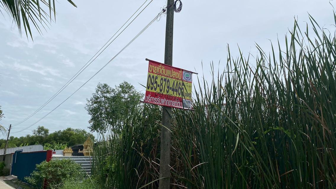 Vายถูกที่ดินคลองสี่ 200 ตารางวา ติดถนนคอนกรีต ซอย คลองสี่ตะวันออก 66 อ.คลองหลวง จ.ปทุมธานี 10