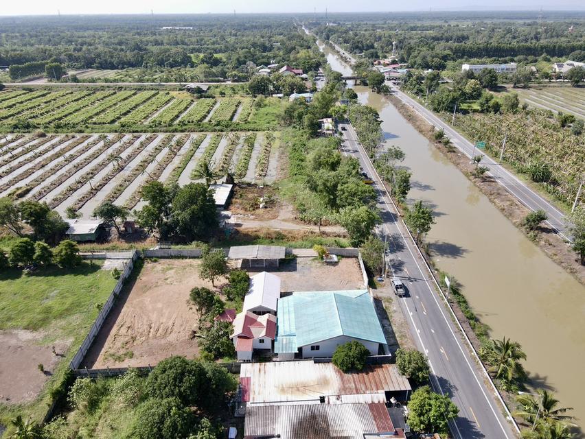 ขายบ้านสวนเนื้อที่ 1 ไร่ 38 ตรว.พร้อมบ้าน คลอง 11 อ.หนองเสือ จ.ปทุมธานี 11