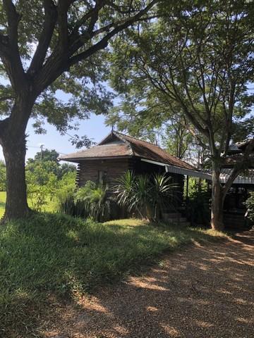 🏡 บ้านไม้ริมน้ำปิง พร้อมที่ดินผืนใหญ่ บรรยากาศธรรมชาติ 12