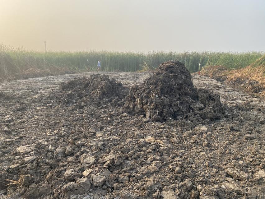 ขายที่ดินเปล่า เหมาะกับการทำธุรกิจ 7