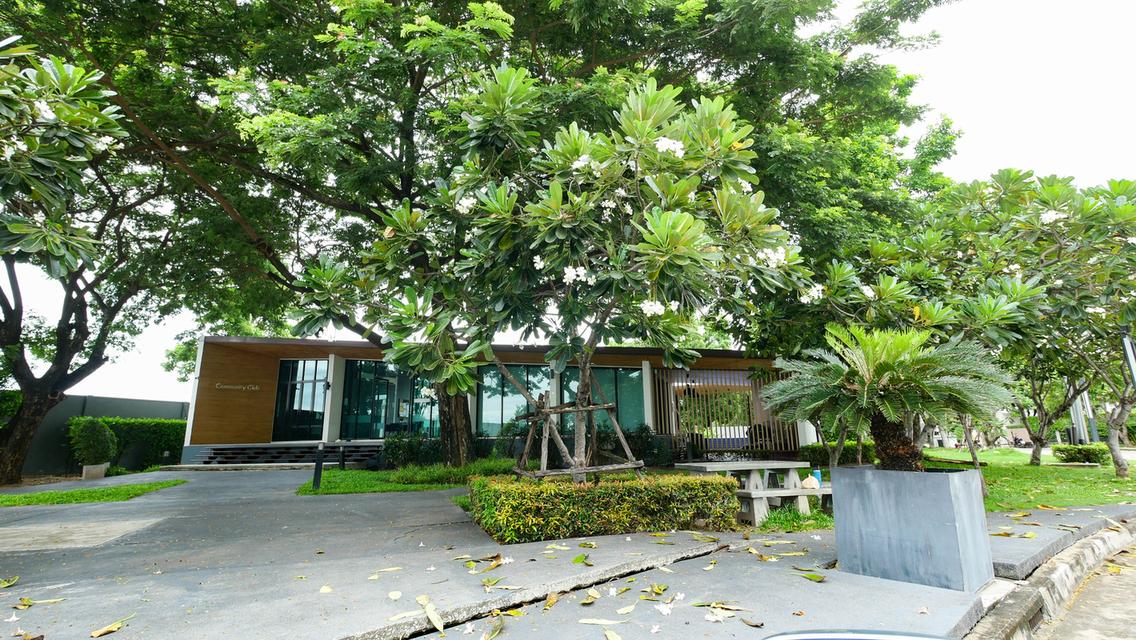 ขายบ้านเดี่ยว 82 ตร.ว.Casa Premium On Nut-Wongwaen : คาซ่า พรีเมี่ยม อ่อนนุช-วงแหวน 17
