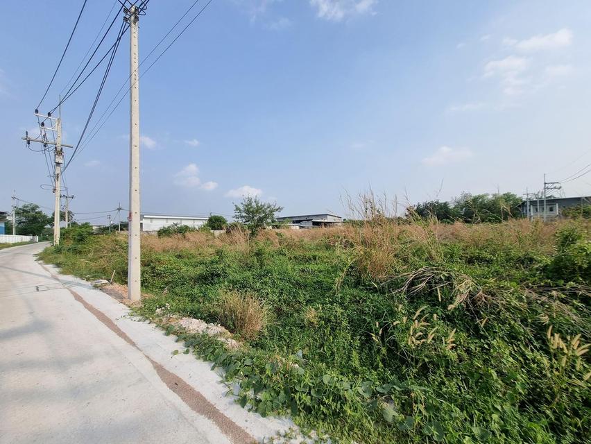 ขายที่ดินพร้อมโกดัง-โรงงาน เนื้อที่ 2-3-0ไร่ ขนาด 42x110เมตร ตำบลมาบไผ่ บ้านบึง ชลบุรี ผังเมือง EEC สีเหลืองอ่อนใกล้สำนักงาน อบต.สำนักบก ทำเลโกดัง รูปที่ 7