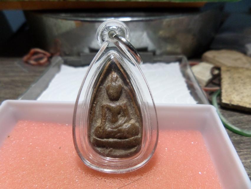 นางกำแพงกลีบบัวเกศแฉก รูปที่ 3