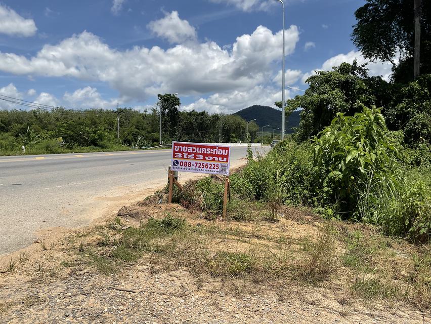 ขายสวนกระท่อม 3 ไร่ 3งาน 50 ตารางวา ติดคลองธรรมชาติ 2