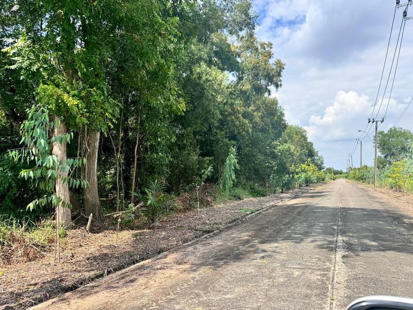ขายที่ดินซอยสุวินทวงศ์47 เพียง2,500/ตร.วา ซอยธรรมรัตน์ (N.1434) 2