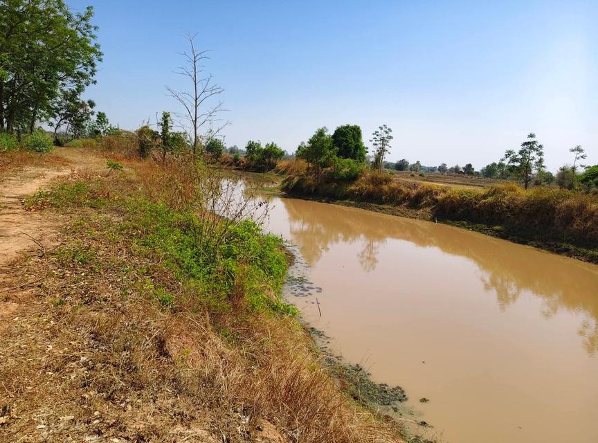 ️ด่วน เจ้าของขายเอง🎉 🎉12 ไร่ 52ตารางวา ไร่ละ250,000 บาท โฉนดครุฑแดง🌟 อยู่ใกล้โรงพยาบาลบัวลาย ด้านหน้าติดถนนคอนกรีต มีไฟฟ้า ด้านหลังติดห้วยสาธารณะ 5