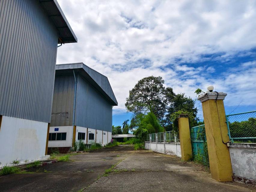 ที่ดินชลบุรีพร้อมโรงงานที่พร้อมให้เข้าเริ่มกิจการทันที มีเครนรางเลื่อนให้ทันที2ชุด เริ่มต้นเร็ว ก็ไปได้ไกลกว่า 8