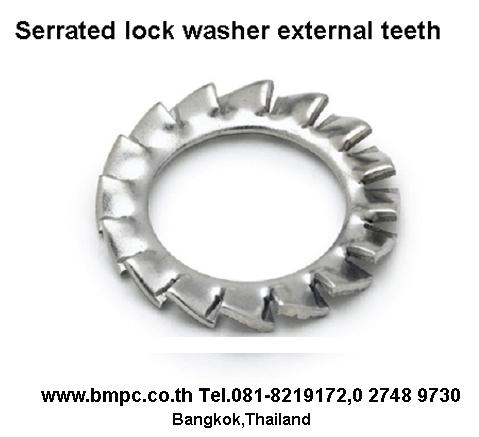 Contact lock washer, NF E25-511, Disc spring lock washer, electrical appliances lock washer, Disc spring safety washer wave washer รูปที่ 6