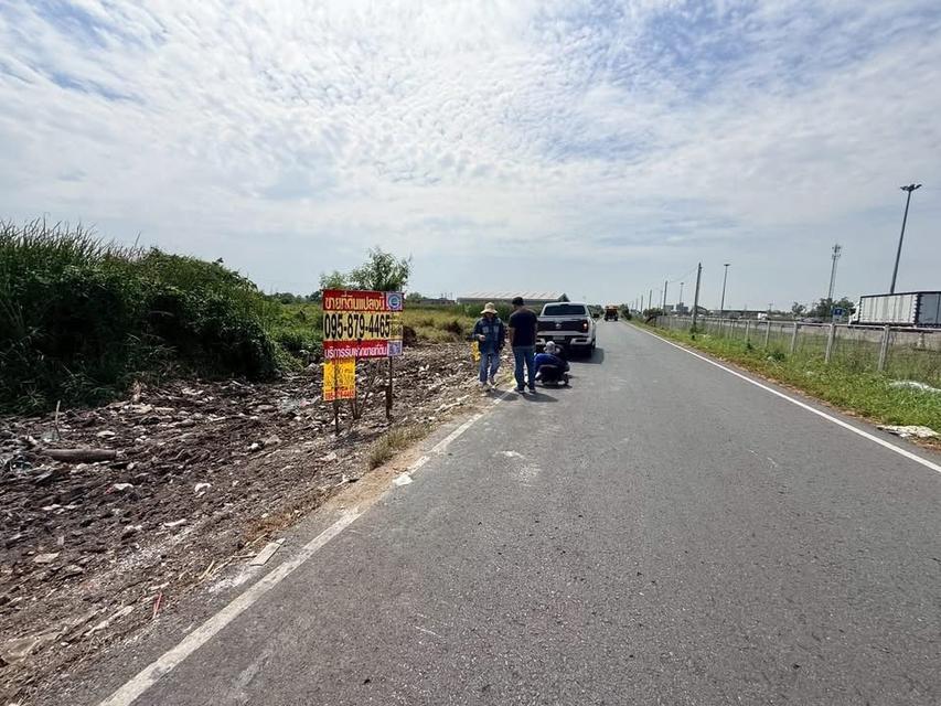 ขายด่วนที่ดิน 286 ตารางวา ติดถนนเลียบมอเตอร์เวย์ ต.คลองสี่ อ.คลองหลวง จ.ปทุมธานี 4