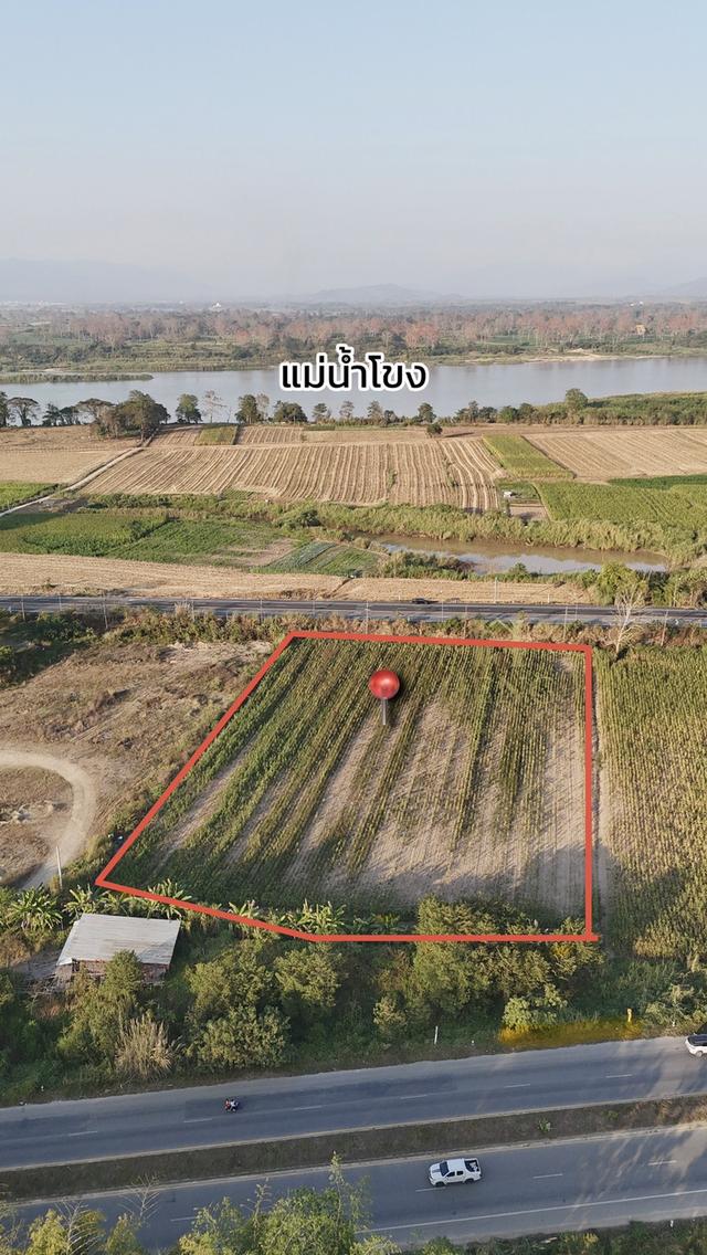 ขายที่ดินริมโขง ทำเลโลจิสติกส์ ติดถนนใหญ่ 1129ต.บ้านแซว อ.เชียงแสน จ.เชียงราย 57150 1