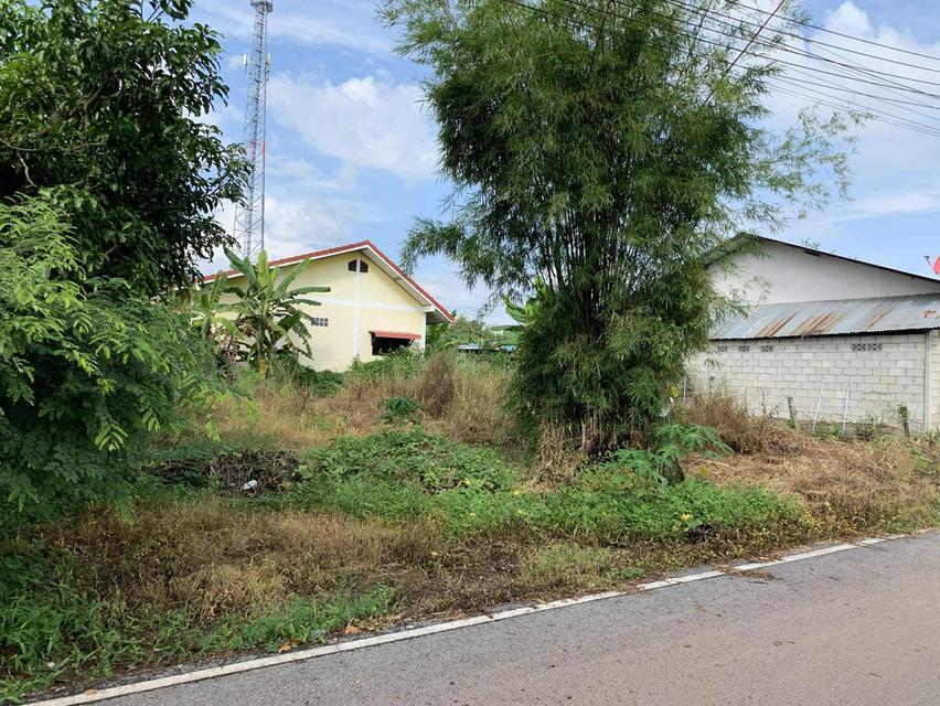 ที่ดินรูปสี่เหลี่ยมพร้อมโฉนดที่ดิน  10