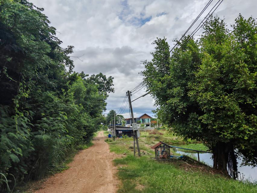 ที่ดินสวนผึ้ง​ราชบุรี 4