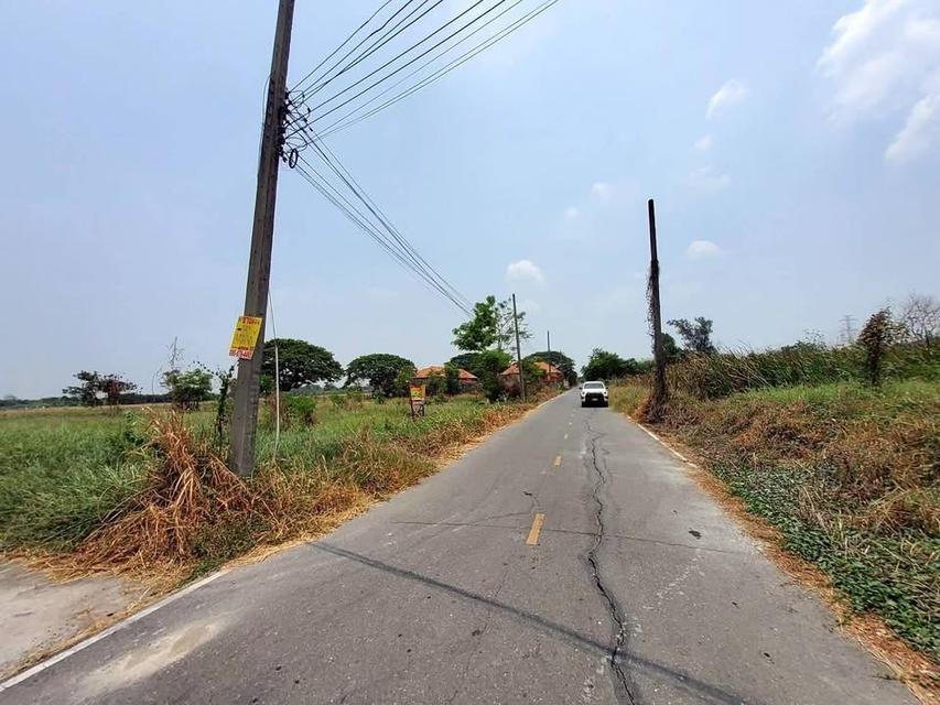 ขายด่วนที่ดิน 143 ตารางวา ติดถนน 2 ด้าน แปลงมุมบึงบอน 3 หนองเสือ ปทุมธานี 3