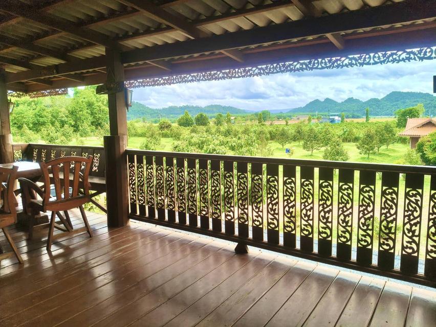 ขายที่สวนทุเรียน เขาใหญ่ ปากช่อง บ้านสวนผลไม้ คลองม่วง นครราชสีมา ที่ดิน 11 ไร่ บ้านไม้เรือนไทย ใกล้ภูเขา วิวเขาล้อมรอบสวยมาก ที่สูงอากาศดี 0879074045 8