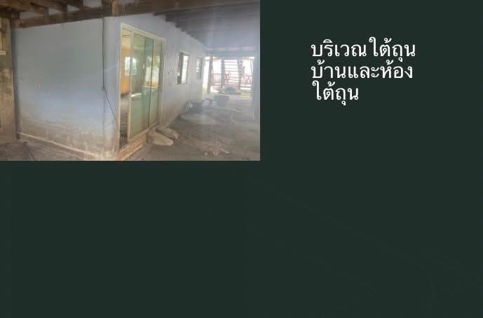 บ้านเดี่ยว 11