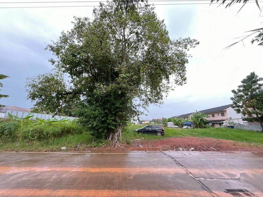 ขายที่ดินกังสดาล ใกล้มหาวิทยาลัยขอนแก่น 4