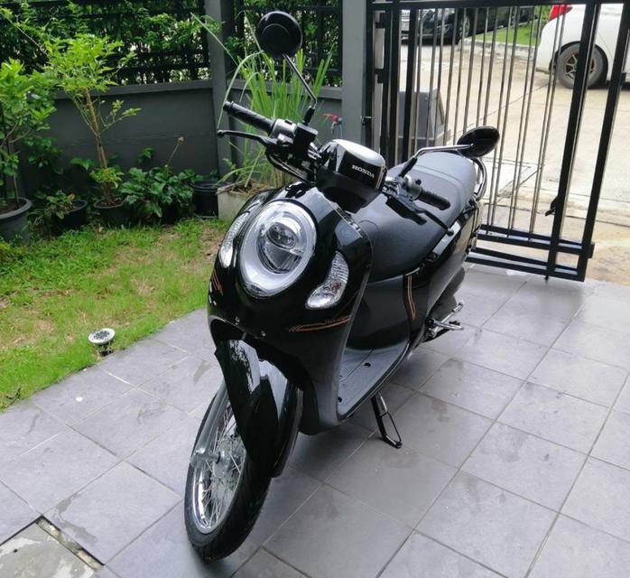 Honda Scoopy i Prestige ปี 21 จังหวัด ชลบุรี