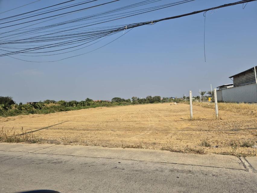 ขายที่ดินนครปฐม สามพราน ทำเลดี 3