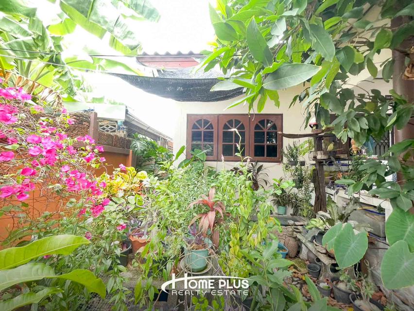 🏡 ขายบ้านเดี่ยว 1 ชั้น ซอยเคหะร่มเกล้า 58 ใกล้ตลาดเกรียงไกร ลาดกระบัง 4