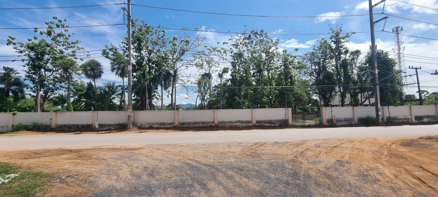 ขายที่ดินบ้านพารา, ป่าคลอก ภูเก็ต ตรงข้ามสนามกอล์ฟ มิชชั่นฮิลล์ ภูเก็ต เนื้อที่ 27-0-93 ไร่ ราคาขาย ไร่ละ 5,500,000 บาท /ไร่ เ 9